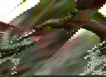 体育心理训练与AI结合